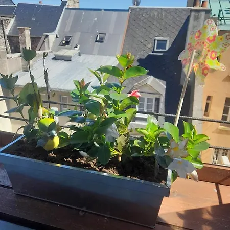 Le Diepplex De Sebelle Apartment Dieppe