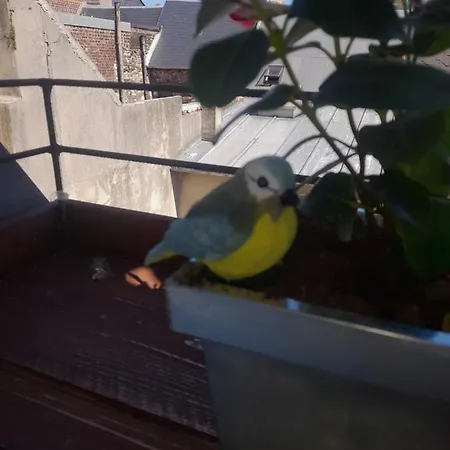 아파트 Le Diepplex De Sebelle 디에프